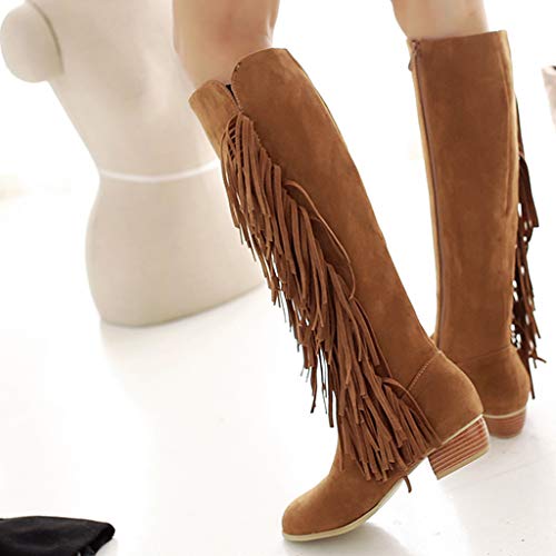 Posional Botas para Mujer Bandage Flecos Botitas BotíN Moda Zapatos De TacóN Gamuza Mujer Bordadas Invierno con Flecos Largos Moda Bota Tobillo Caballero Occidental Punta Redonda Y Plana TacóN Bajo