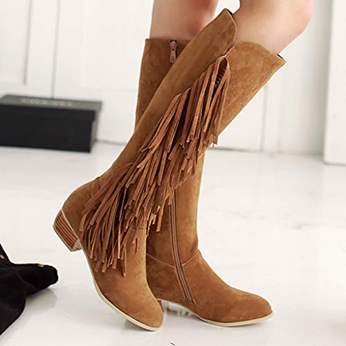 Posional Botas para Mujer Bandage Flecos Botitas BotíN Moda Zapatos De TacóN Gamuza Mujer Bordadas Invierno con Flecos Largos Moda Bota Tobillo Caballero Occidental Punta Redonda Y Plana TacóN Bajo