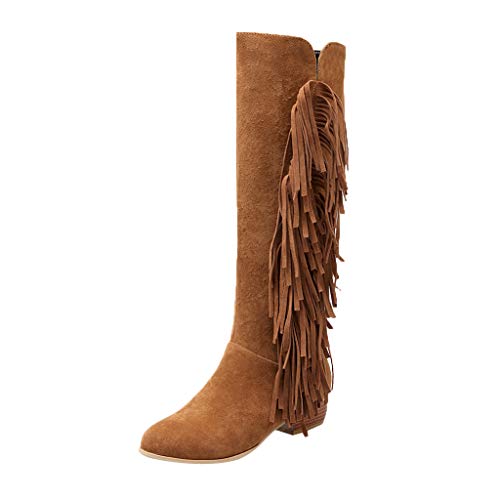 Posional Botas para Mujer Bandage Flecos Botitas BotíN Moda Zapatos De TacóN Gamuza Mujer Bordadas Invierno con Flecos Largos Moda Bota Tobillo Caballero Occidental Punta Redonda Y Plana TacóN Bajo