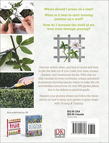 Pruning and Training, Revised New Edition: What, When, and How to Prune