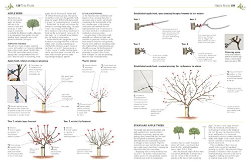 Pruning and Training, Revised New Edition: What, When, and How to Prune