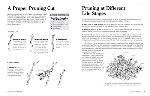 Pruning Made Easy: A Gardener's Visual Guide to When and How to Prune Everything, from Flowers to Trees (Storey's Gardening Skills Illustrated)