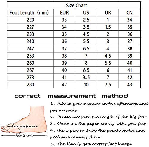 qmj Zapatillas De Patín De Ruedas para Niños Unisex 2 En 1 Rueda Retráctil Conviértase En Calzado Deportivo para Niños Zapatos,White-EU40/UK6