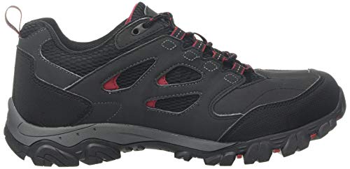 Regatta Holcombe Iep Low Rise Hiking Boot, Zapatillas de Senderismo Hombre, Gris (Ash/Rio Red 21n), 42 EU