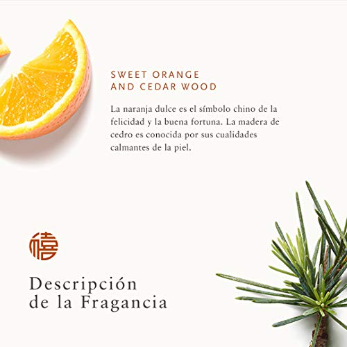 RITUALS The Ritual of Happy Buddha Cofre de regalo grande, Colección Energizante