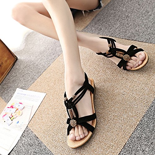 Sandalias Mujer Verano 2019 Planas Moda Sandalias de Vestir Playa Chanclas para Mujer Zapatos Sandalias de Punta Abierta Roma Casual Sandalias Fiesta Cómodo Flip Flop vpass