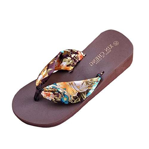 Sandalias Mujer Verano 2019 SHOBDW Zapatillas En Oferta Chanclas Mujer Bohemia Floral Sandalias De Playa Plataforma De Cuña Tangas Zapatillas Chancletas(Café,EU39)