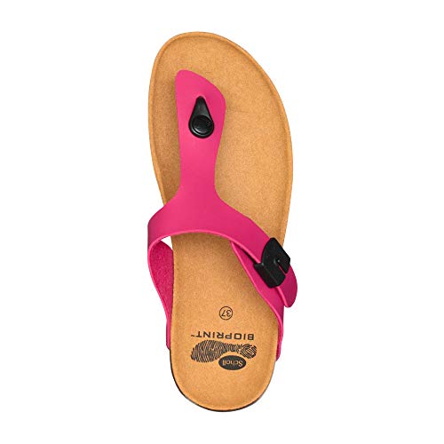 Scholl interdigital Boa Vista up Fucsia 37