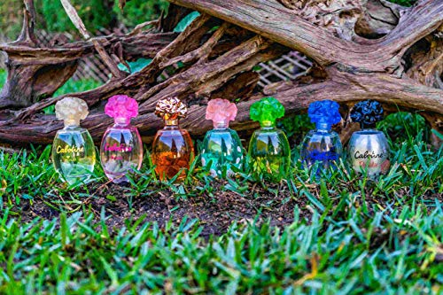 Set 7 Cabotines de Perfumes Gres diferentes EDT (Cabotine Classic + Cabotine Rose + Cabotine Gold + Cabotine Floralie + Cabotine Eau Vivide + Cabotine Fleur Splendide + Cabotine Rosalie) 100ml