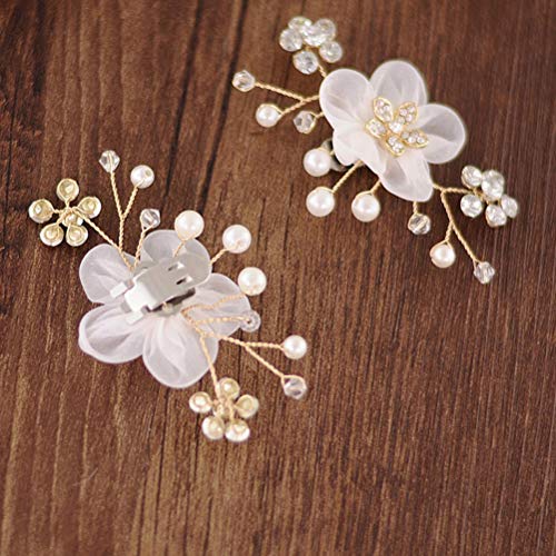 TENDYCOCO 1 par de zapatos de la boda de la hebilla del zapato de la hebilla de la novia de la novia rhinestone zapato clip de zapatos decoración accesorios