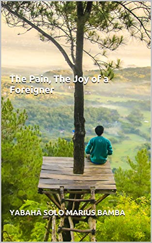 The Pain, The Joy of a Foreigner (English Edition)