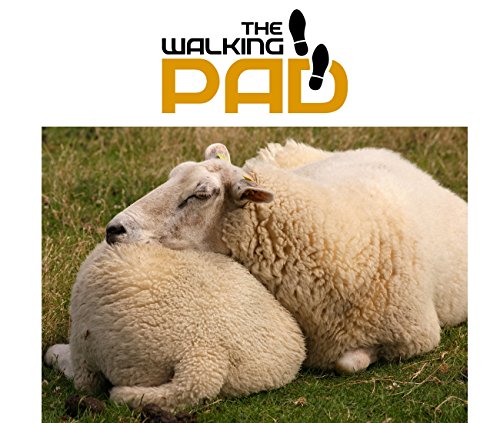 THE WALKING PAD - Plantilla 100% lana de oveja natural, talla 35 a 46 recortable. Te mantiene los pies calientes.