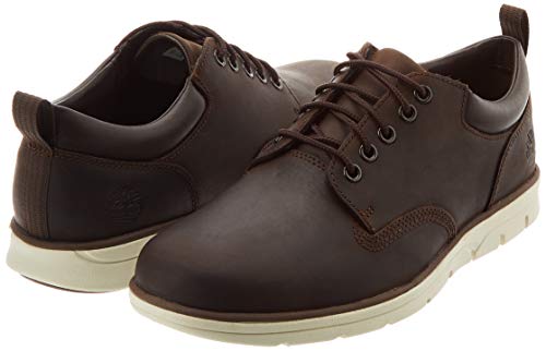 Timberland Bradstreet 5 Eye Oxford, Zapatillas Bajas Hombre, Marrón Dk Brown Full Grain, 40 EU