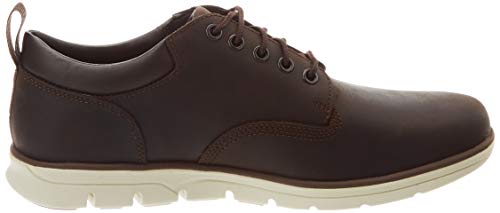 Timberland Bradstreet 5 Eye Oxford, Zapatillas Bajas Hombre, Marrón Dk Brown Full Grain, 40 EU