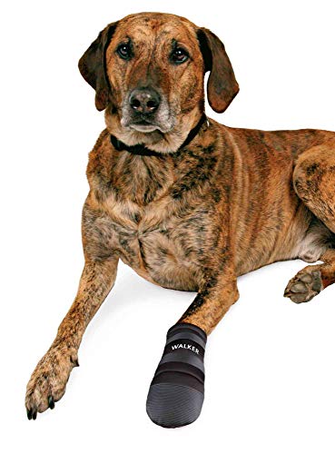 TRIXIE 2 Botas Protectoras Walker, Neopreno, Perros, XL, Negro, Perro