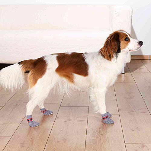 TRIXIE 2 Calcetines Perro, Antideslizante, L-XL, Gris, Perro