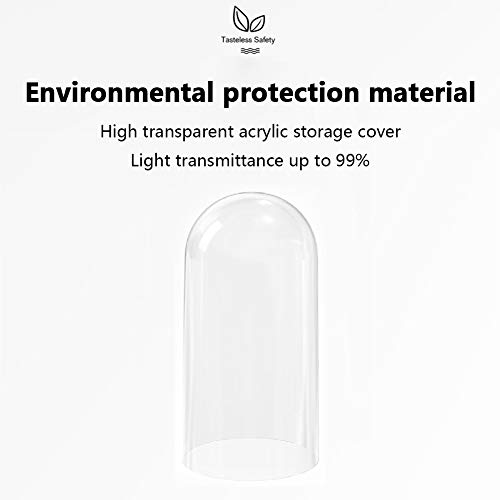 TY-ZWJ Caja de Zapatos coleccionables suspendida, Caja de Almacenamiento Coleccionable suspendida, Figura de Moda Caja de Almacenamiento Transparente Pantalla de Pared de Pared Suspensión acrílica