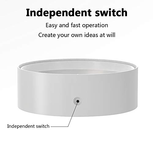 TY-ZWJ Caja de Zapatos coleccionables suspendida, Caja de Almacenamiento Coleccionable suspendida, Figura de Moda Caja de Almacenamiento Transparente Pantalla de Pared de Pared Suspensión acrílica