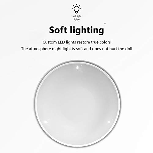 TY-ZWJ Caja de Zapatos coleccionables suspendida, Caja de Almacenamiento Coleccionable suspendida, Figura de Moda Caja de Almacenamiento Transparente Pantalla de Pared de Pared Suspensión acrílica