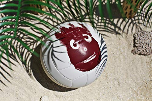 Wilson WTH4615XDEF Pelota de Voleibol Castaway Mini Mr Cuero sintético, Unisex Adulto, Blanco, Talla única