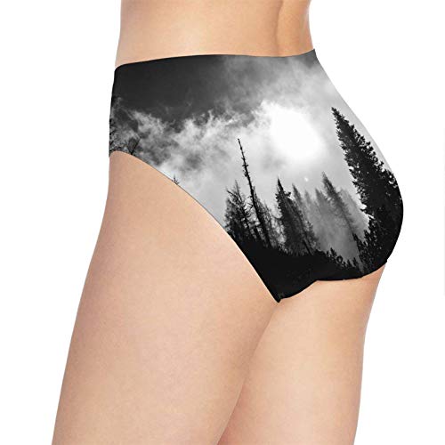 XCNGG Bragas Ropa Interior de Mujer 3D Print Soft Women's Underwear, Black Forest Fashion Flirty Lady'S Panties Briefs Large