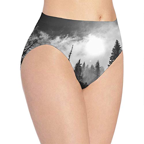 XCNGG Bragas Ropa Interior de Mujer 3D Print Soft Women's Underwear, Black Forest Fashion Flirty Lady'S Panties Briefs Large