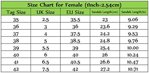 Yijinstyle Sandalias para Caminar Ocasionales Chanclas con Punta Abierta Sandalias con Diamantes de Imitación T-Strap Zapatillas con Velcro para Mujer (Rojo, 38.5 EU)