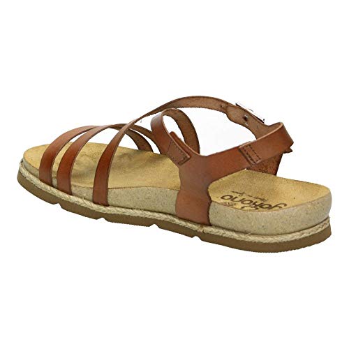 YOKONO - Yokono CHIPRE-100 Nuez - 37