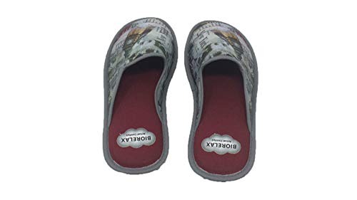 Zapatillas de Estar por casa/Biorelax/Primavera-Verano/Puntera Tapada/con Cámara de Aire/Mod. Londres/Talla 40