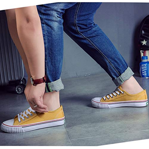 Zapatos de Lona de Las Mujeres Primavera Verano cariño Transpirable con Cordones de Color Caramelo Estilo clásico Zapatos Casuales Zapatillas de Deporte de Moda Femenina