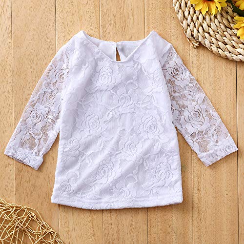 1-5 años Niña Top de Encaje + Rosas Bordadas Vaqueros Tattered Conjunto de Ropa Otoño Invierno