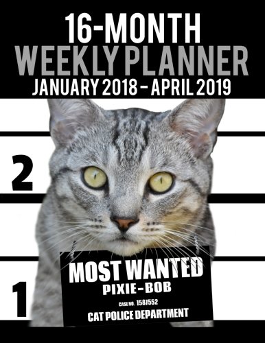 2018-2019 Weekly Planner - Most Wanted Pixie-bob: Daily Diary Monthly Yearly Calendar Large 8.5" x 11" Schedule Journal Organizer Notebook ... 29 (Large Book Size Cat Planners 2018-2019)