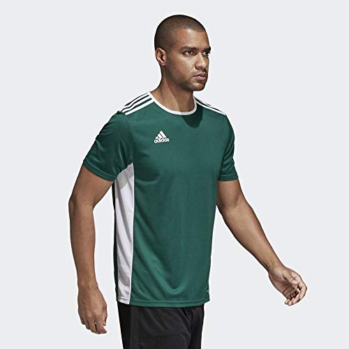 adidas Entrada 18 JSY T-Shirt, Hombre, Collegiate Green/White, L