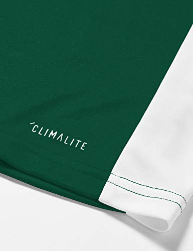adidas Entrada 18 JSY T-Shirt, Hombre, Collegiate Green/White, L