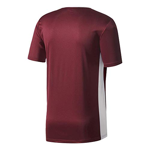 adidas Entrada 18 JSY T-Shirt, Hombre, Maroon/White, L