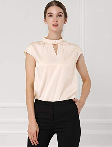 Allegra K Blusa Cuello Alto Gargantilla Ojo De Cerradura Camisa De Oficina Elegante para Mujeres Beige M