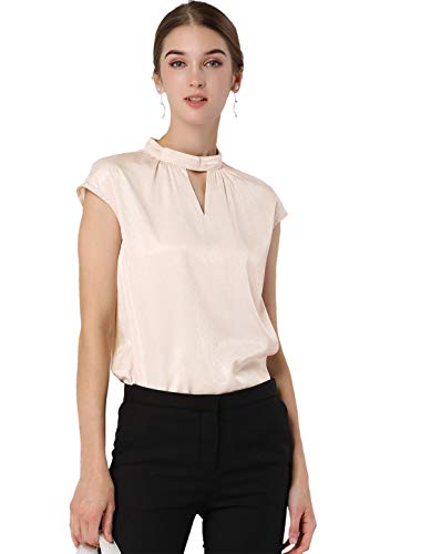 Allegra K Blusa Cuello Alto Gargantilla Ojo De Cerradura Camisa De Oficina Elegante para Mujeres Beige M