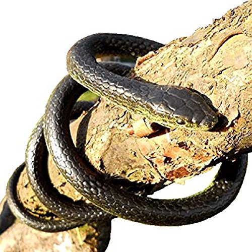 Amasawa Serpientes de Goma,Juguete de jardín de Goma en Forma de Serpiente 130cm Negro,Inicio Jardin Truco Broma de Halloween Prop.