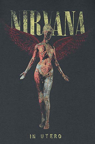 Amplified Nirvana-In Utero Colour Camiseta, Gris (Charcoal CC), L para Hombre