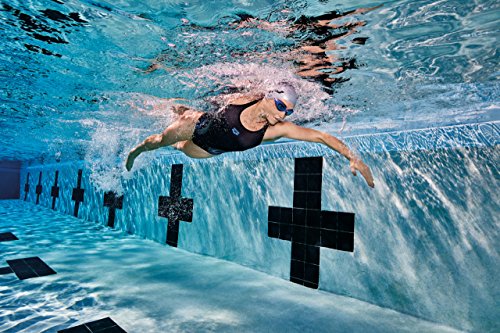 Arena Classic Gorro de Natación, Unisex Adulto, Plateado (Silver/Black), Talla Única