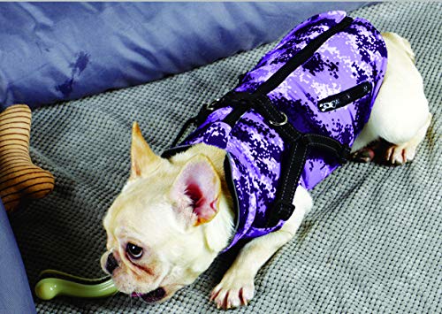 BABYDOG Abrigo Chaqueta para Perro, Caliente para Mascotas, Prenda de Vestir Invierno, Chaqueta de Invierno, Cazadora Perro con Forro Polar, Ropa para Perro, Trenca para Perro. (7L, Morado)