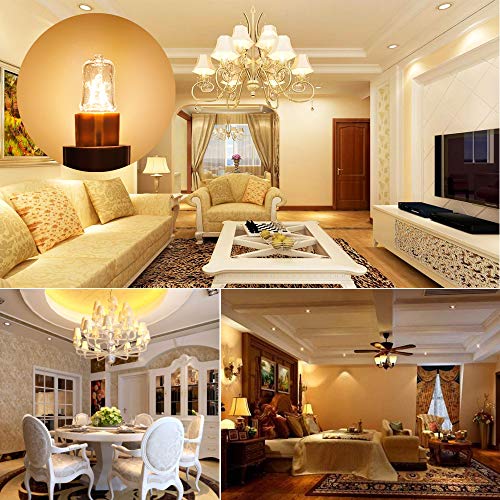 Bombilla halógena VINBE G9 T4 40W JCD Bi-Pin 480LM 230V regulable, 2700K blanco cálido, para candelabros, lámparas de paisaje (paquete de 10)