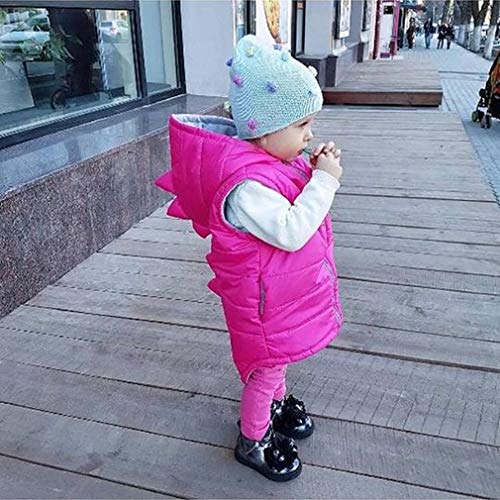 BULINGNA Chaleco de dinosaurio sin mangas con capucha para niños y niñas con cremallera - rosa - 6-12 meses