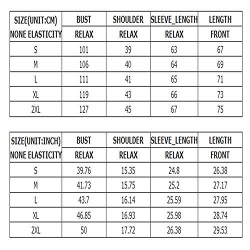 Camisa De Mujer Suelta Moda Linterna Manga Cuello Redondo PulóVer Camisa De Mujer