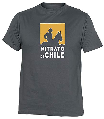 Camiseta Nitrato De Chile Adulto/niño EGB ochenteras 80´s Retro (XL, Gris)