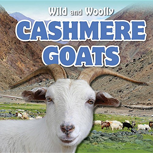 Cashmere Goats (Wild and Woolly)