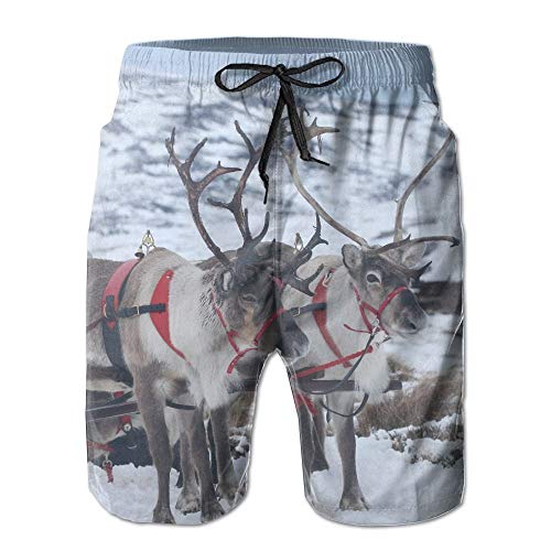 Ccsoixu Men's The Santa Clau Reindeer Quick Dry Summer Beach Surfing Board Shorts Swim Trunks Cargo Shorts,L