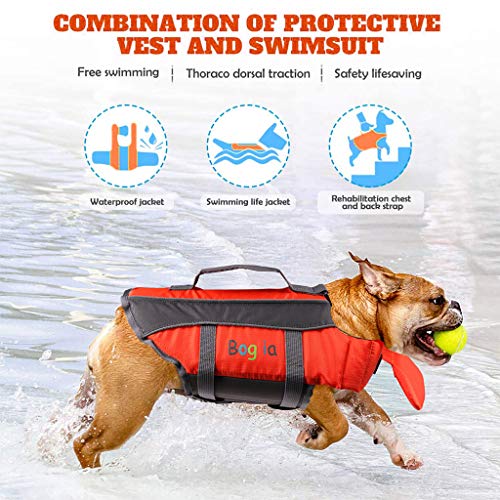 Chaleco salvavidas para perro, chaleco salvavidas de verano, ayuda para perros pequeños, medios, grandes, salvavidas de perro, salvavidas para seguridad en el agua en la piscina, playa, navegando