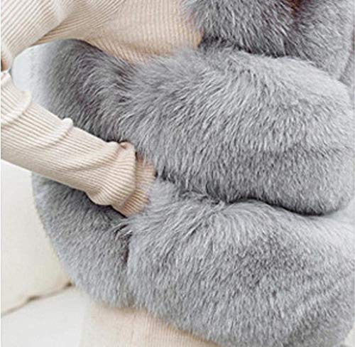 Chalecos De Piel Mujer Cortos Fashion Elegantes Sin Mangas Piel Sintética Chaqueta Invierno Cómodo Caliente Polares Chaleco De Piel Clásico Abrigos Outerwear Mujeres (Color : Grau, Size : S)
