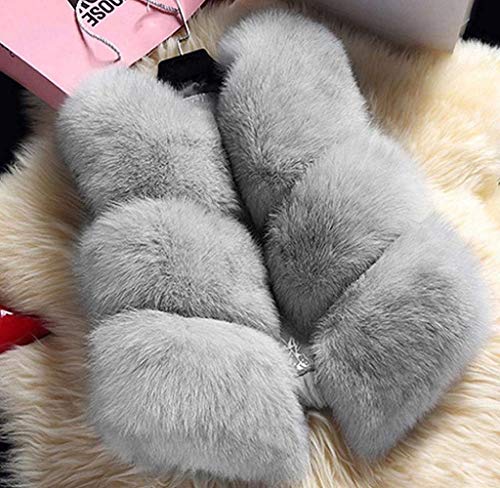 Chalecos De Piel Mujer Cortos Fashion Elegantes Sin Mangas Piel Sintética Chaqueta Invierno Cómodo Caliente Polares Chaleco De Piel Clásico Abrigos Outerwear Mujeres (Color : Grau, Size : S)